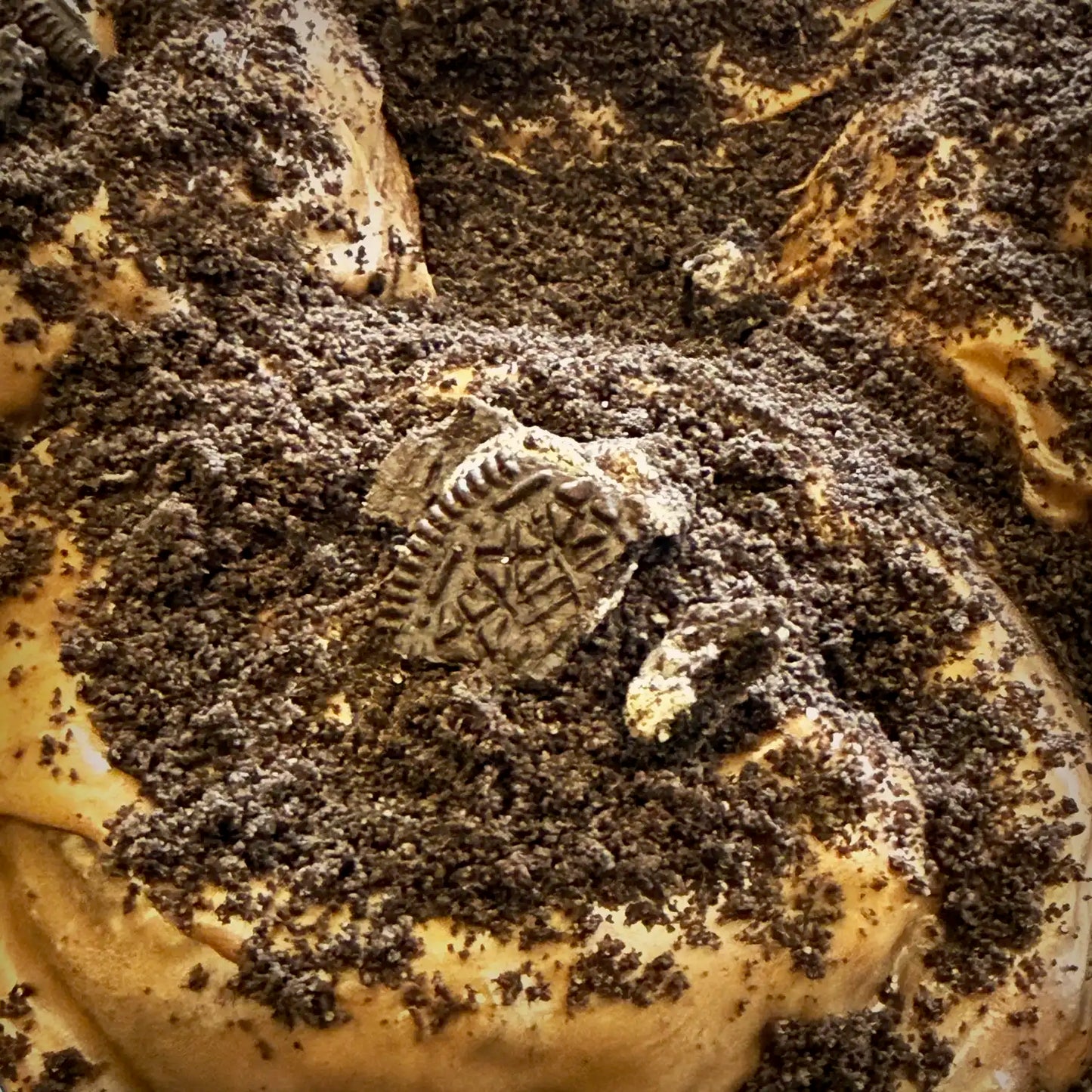 Double Chocolate Cookies 'n Cream Cinnamon Rolls